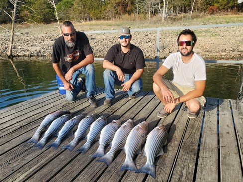 Nice Striped Bass