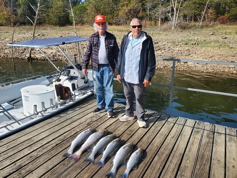 Nice Striped Bass