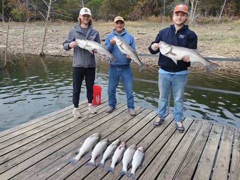 Nice Striped Bass
