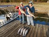 (09/29/2026) - Nice Striped Bass