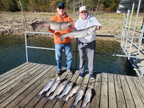 Nice Striped Bass