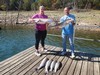 (10/08/2026) - Nice Striped Bass