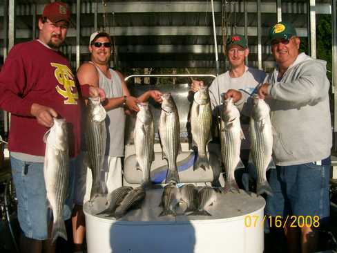 Nice Striped Bass