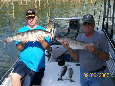 Nice Striped Bass