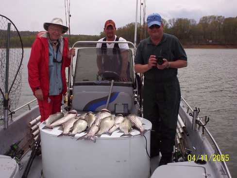 Nice Striped Bass