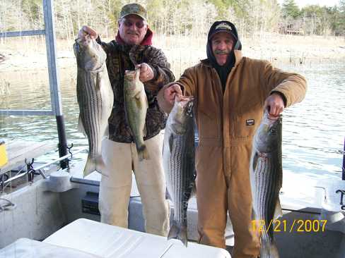 Nice Striped Bass