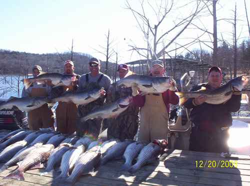 Nice Striped Bass