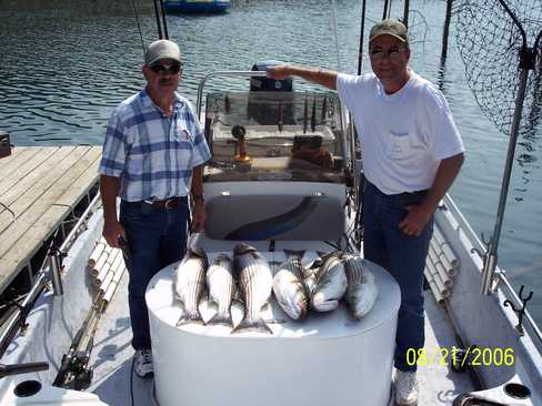 Nice Striped Bass