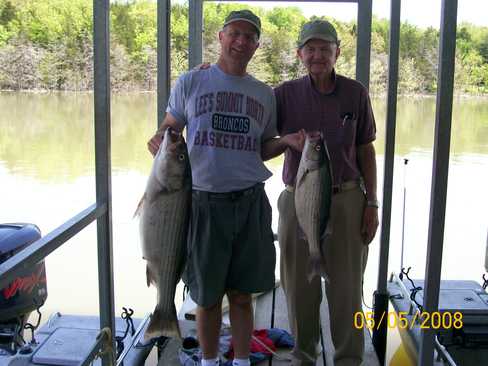 Nice Striped Bass