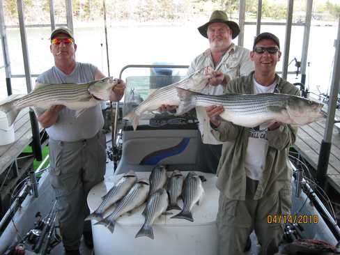 Nice Striped Bass