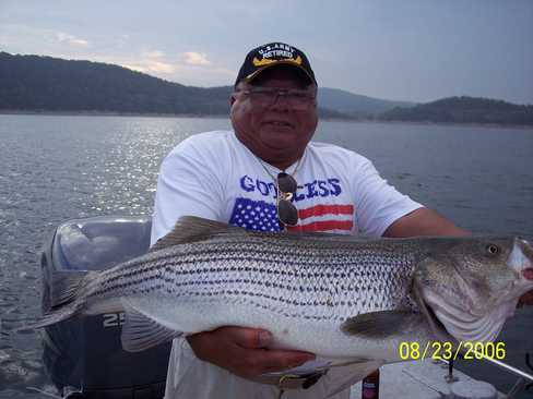 Nice Striped Bass