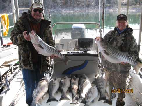 Nice Striped Bass