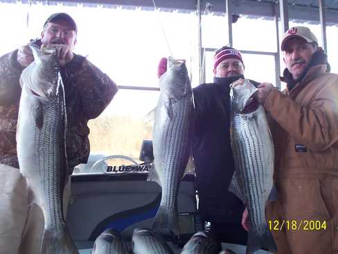 Nice Striped Bass