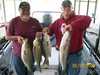 (05/17/2008) - Nice Striped Bass