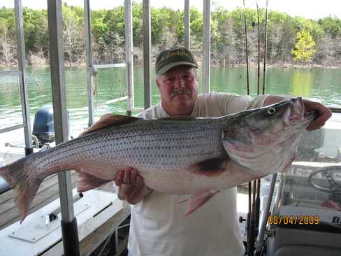 Nice Striped Bass
