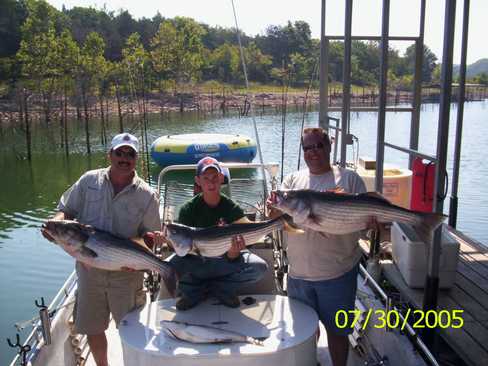 Nice Striped Bass