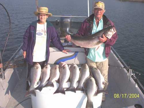 Limit of Striped Bass