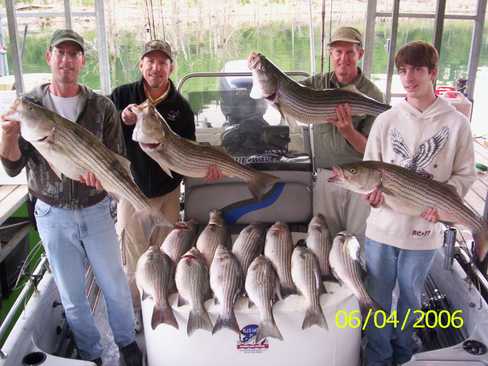 Nice Striped Bass