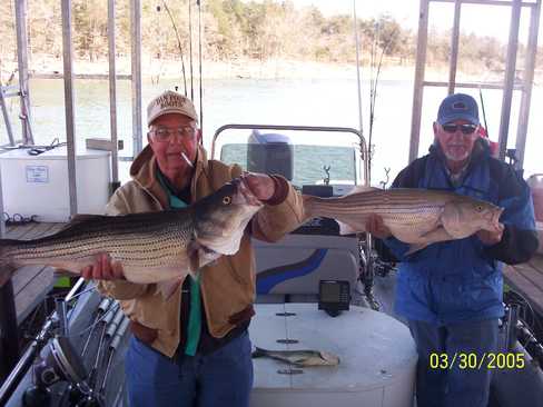 Nice Striped Bass