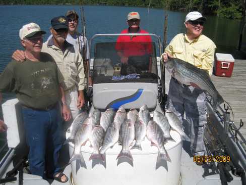 Nice Striped Bass
