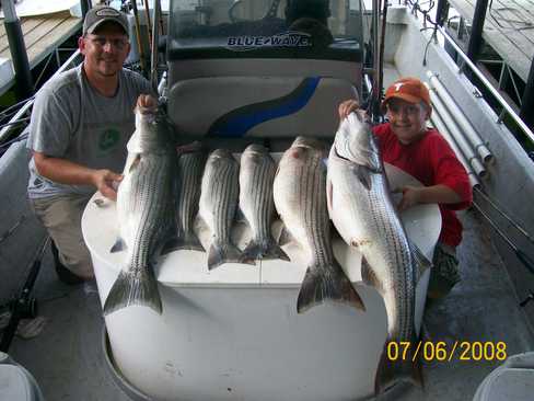 Nice Striped Bass