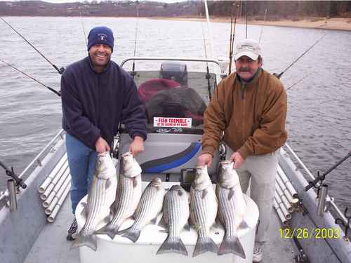 Nice Striped Bass