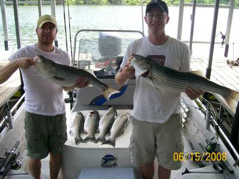 Nice Striped Bass