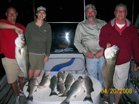 Nice Striped Bass