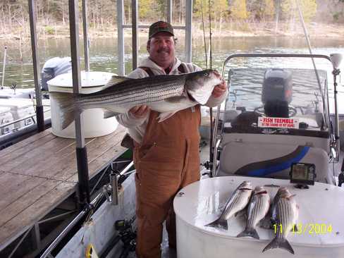 Nice Striped Bass