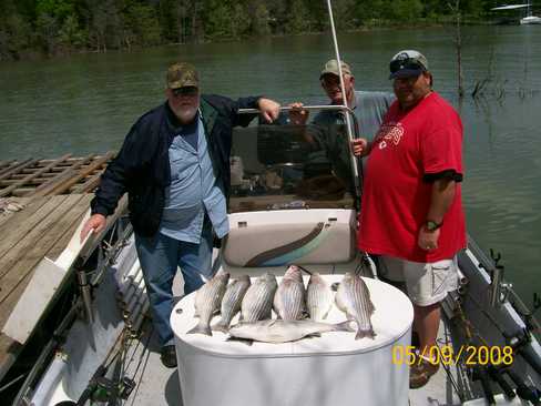 Nice Striped Bass