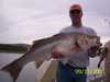 (09/15/2005) - Nice Striped Bass