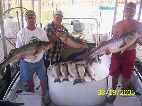 Nice Striped Bass