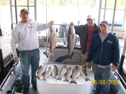 Nice Striped Bass