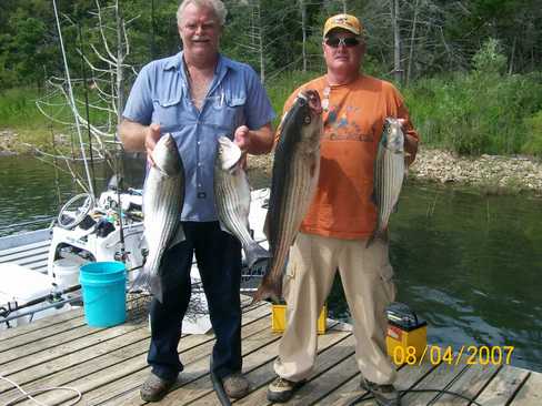 Nice Striped Bass