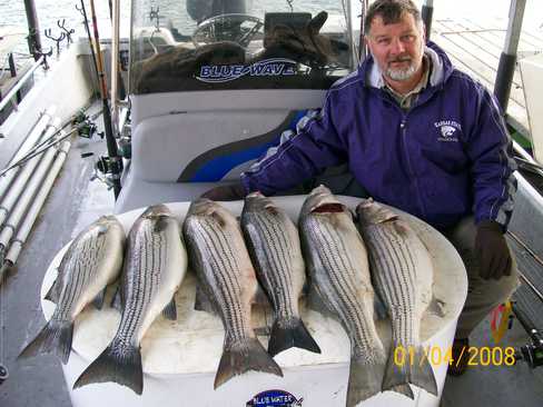 Nice Striped Bass