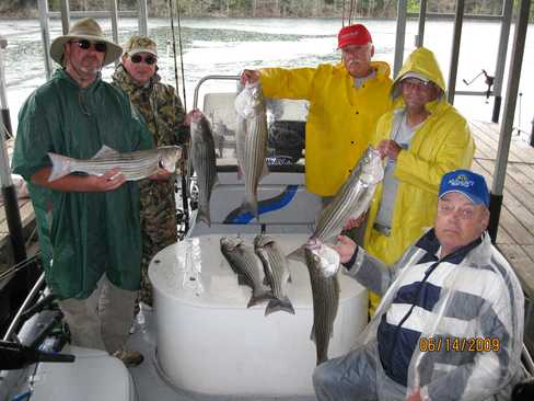 Nice Striped Bass