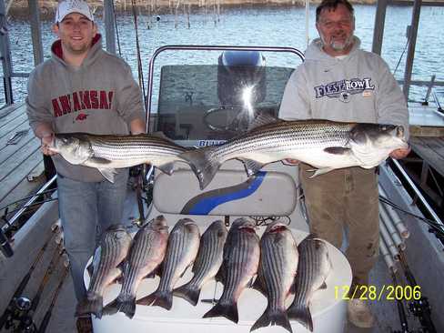 Nice Striped Bass