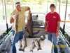 (09/13/2007) - Nice Striped Bass
