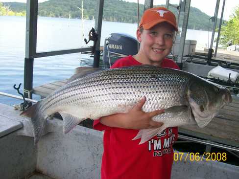 Nice Striped Bass