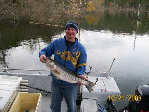 Nice Striped Bass