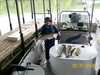 (05/31/2008) - Nice Striped Bass