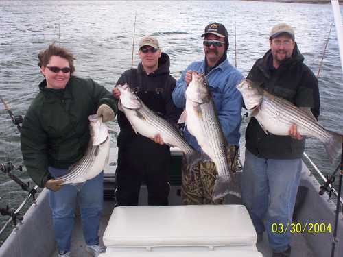 Nice Striped Bass