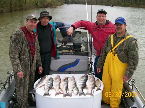 Nice Striped Bass