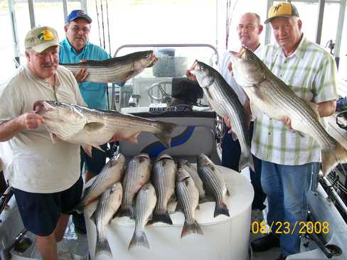 Nice Striped Bass