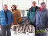 (11/20/2005) - Nice Striped Bass