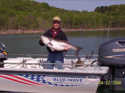 Nice Striped Bass