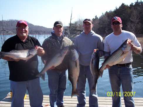 Nice Striped Bass