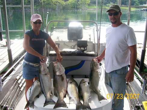 Nice Striped Bass