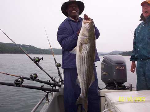 Now that is a Hog Striper