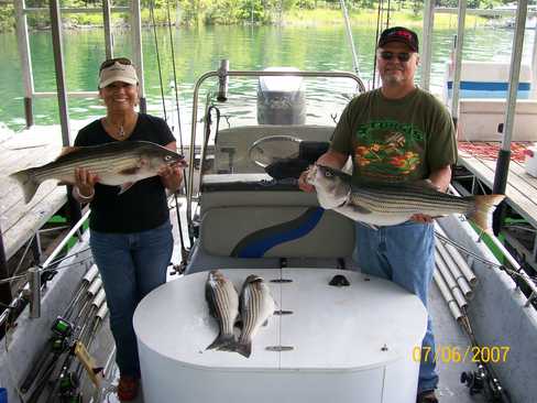 Nice Striped Bass